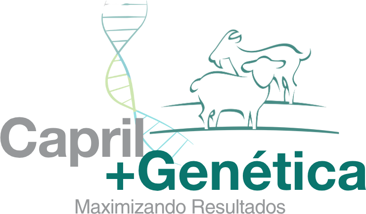 Capril +Genética